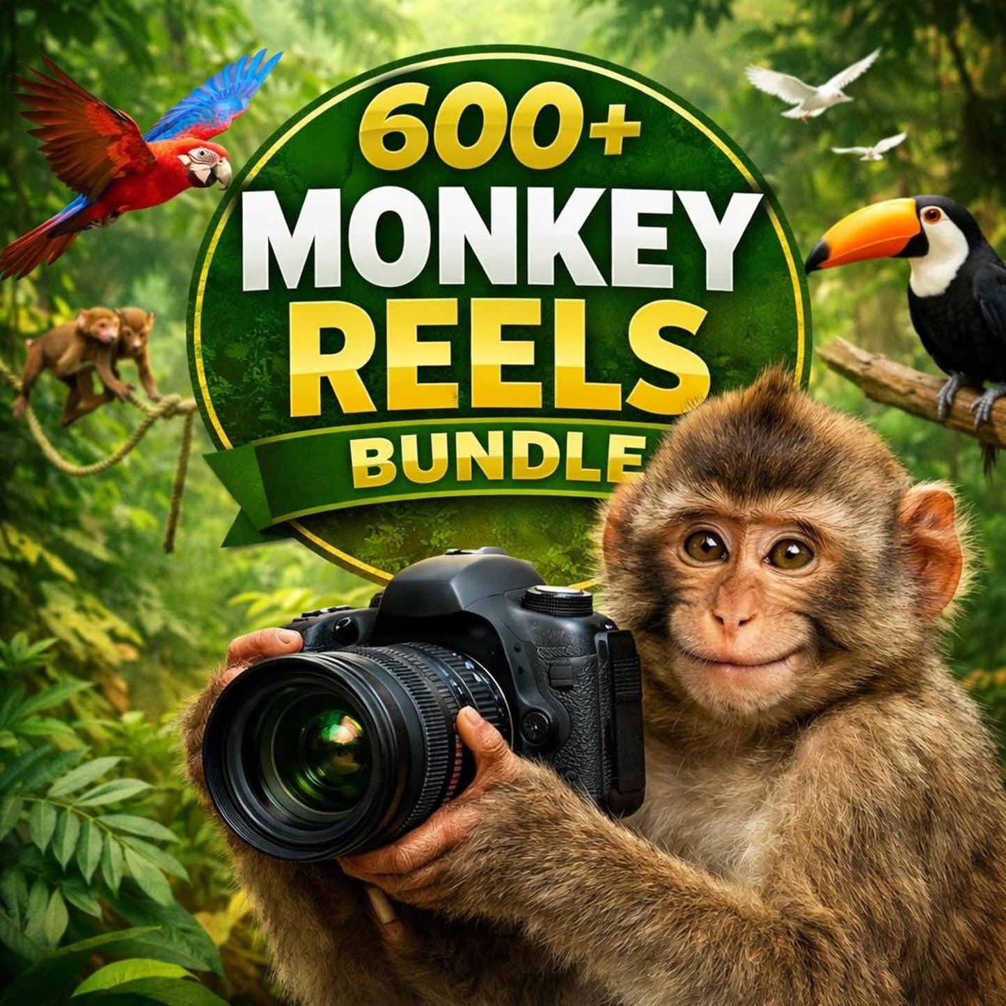600 Monkey Vlog Reels Bundle